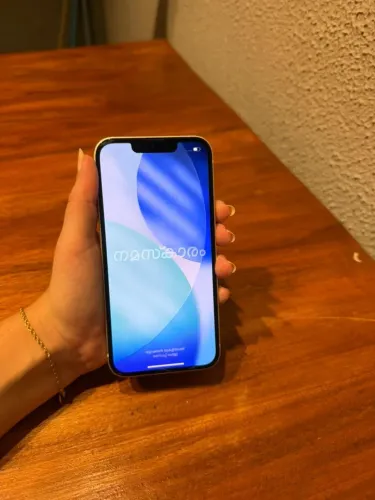 iPhone 13 seminovo, recém comprado.