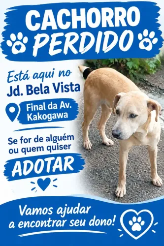 Animal perdido 