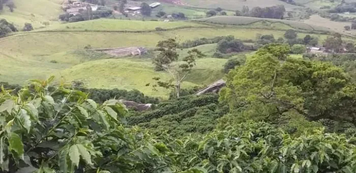 Sítio no sul de minas 