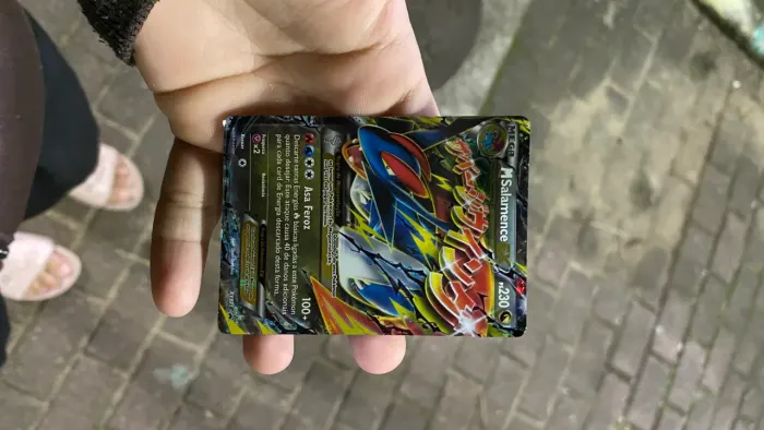 Pokémon TCG do Mega Salamence EX