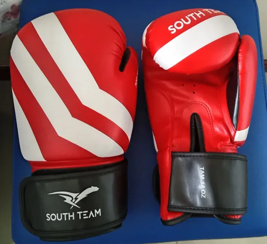 2 PARES DE LUVAS BOXE TM 12 e 14