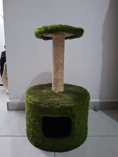 Arranhador e casinha para gato
