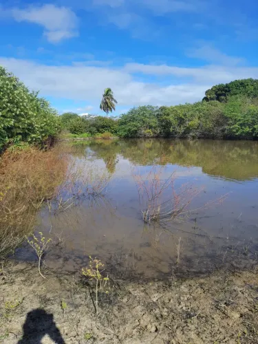 Fazenda com 27.8 hectares na região de macaiba