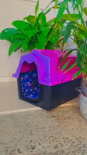 Casinha pet com caminha