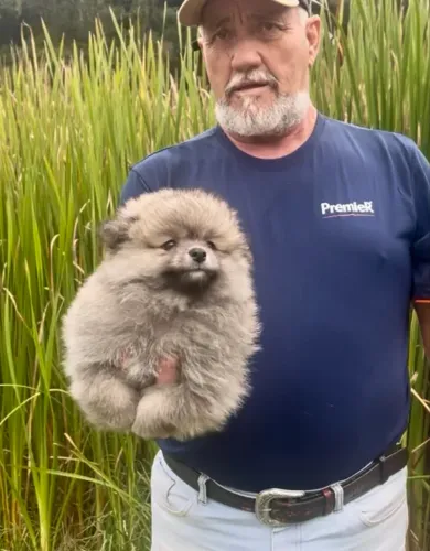 Ursinho lindo // luluzinho macho