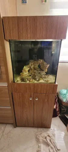Aquário marinho completo 125l