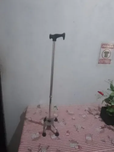 Vende-se bengala 