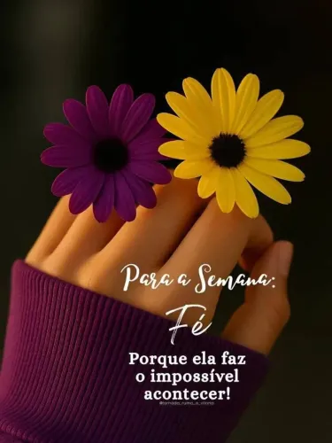 Diarista