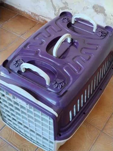 Caixa pra transporte pet suporte grande