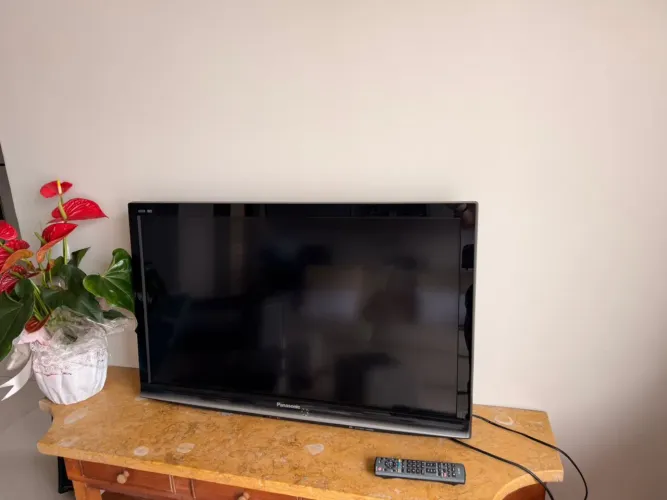 Televisão Panasonic Viera DTV 43? polegadas