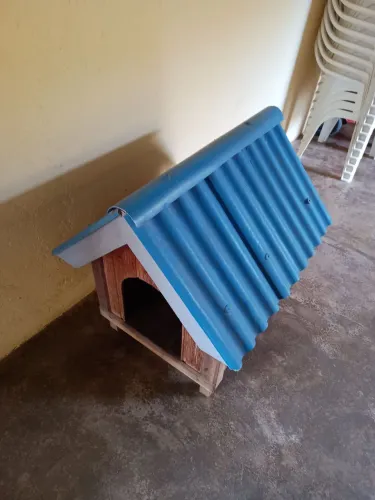 Casinha de cachorro 