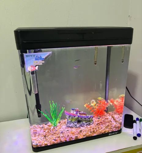 Vendo aquário Boyu 31 litros 