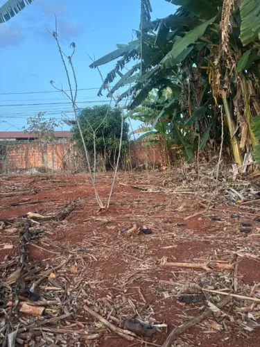 Lote para galpão próximo a Bombril