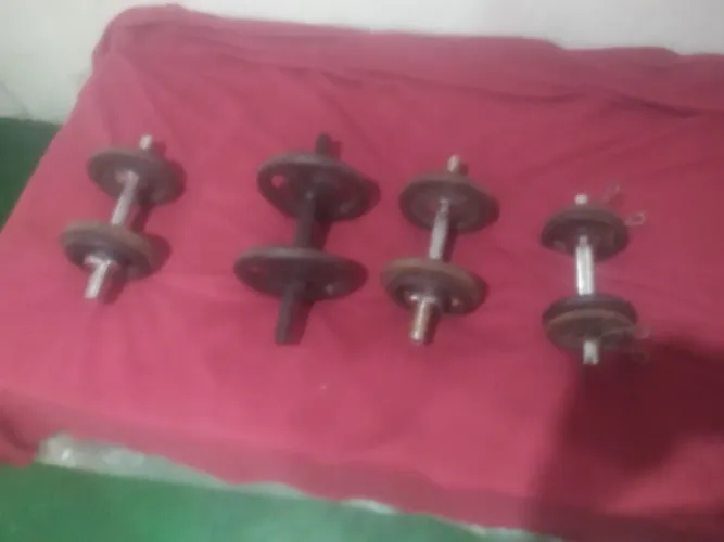 Vendo todos juntos por 600.00 chama no zap *