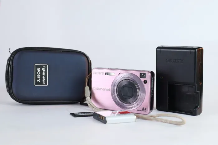 sony dsc wx100