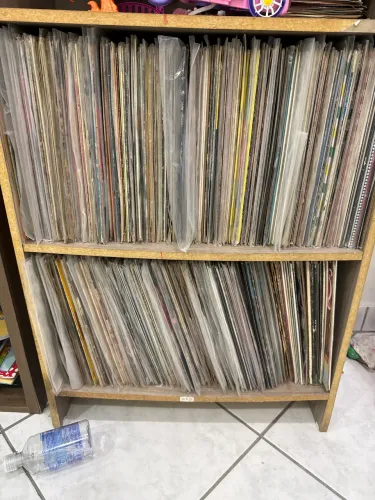 Vendo 350 discos de vinil importados e nacionais ?
