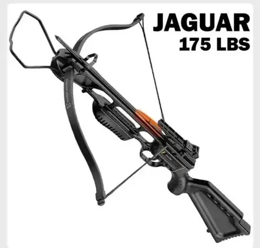 Balestra jaguar 175 lb