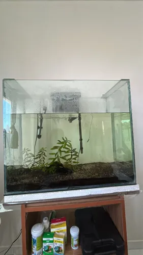 Aquário 140 Litros Completo 70x58 - Com Filtro, Termostato e Acessórios