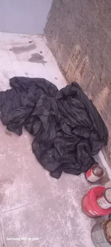 Tela