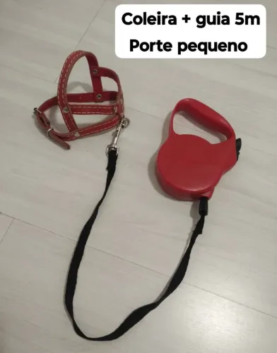 Coleira + guia cachorro porte pequeno