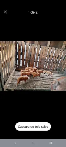 Doação motivo mudança