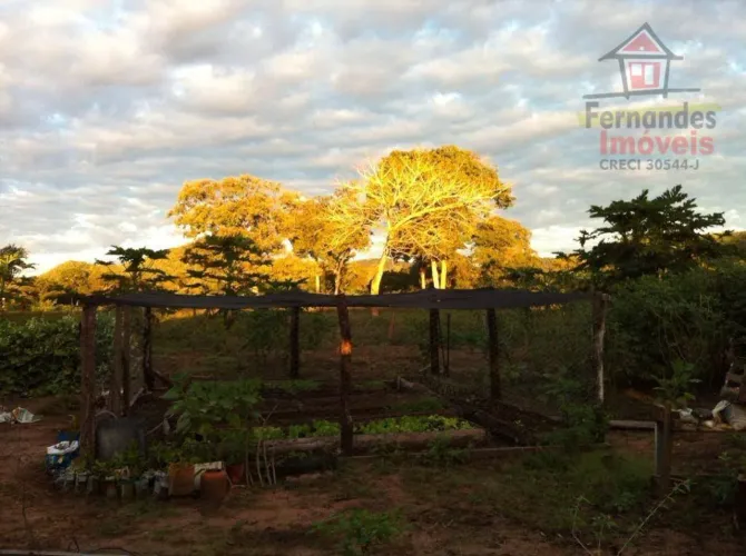Fazenda à venda, 1.030 há R$ 25.000.000 - Zona Rural - Cáceres/MT