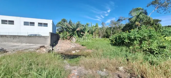 Terreno no Campeche 360m² - Alto Potencial de Valorização