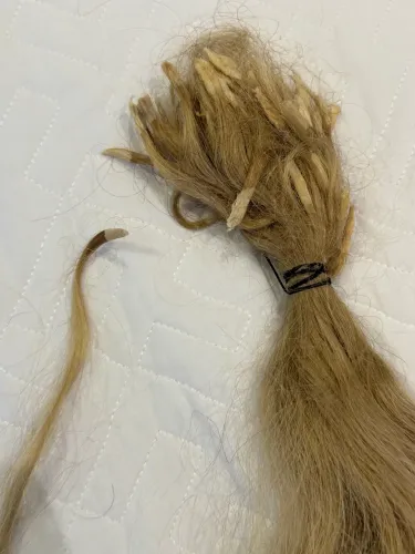 Cabelo loiro brasileiro castanho  