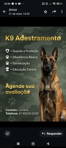 Adestramento k9