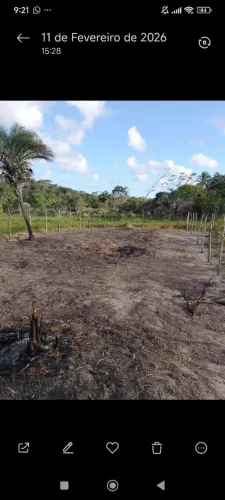 Terreno