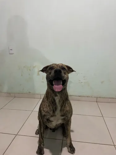 Doação 