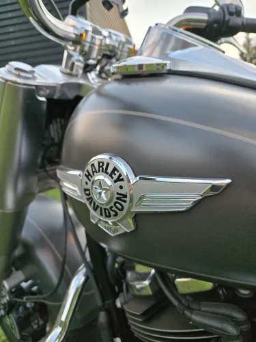 FAT BOY 107 2019