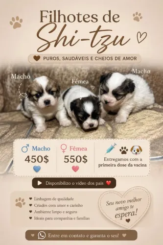 Vendo