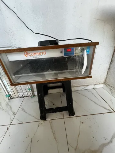 Chocadeira ecopintos