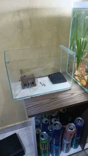 Aquário 14 Litros Semi-Novo - Ideal para Betta, Camarões ou Quarentena