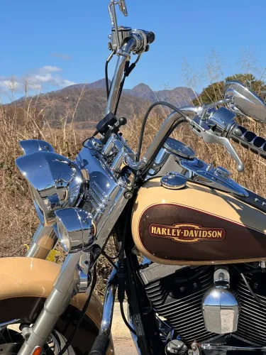 Harley Davidson Softail Heritage 2014