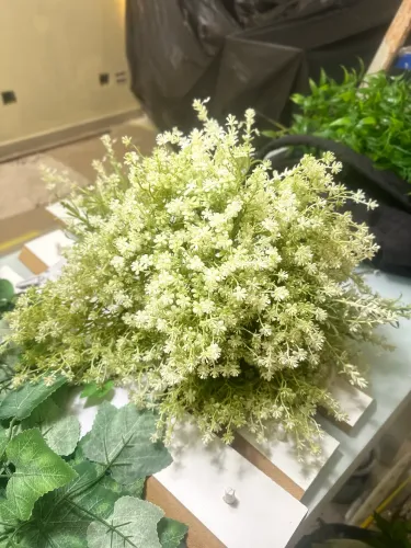 Decoração