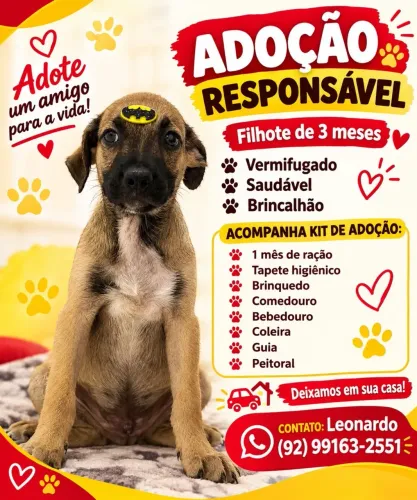 Doação responsável macho