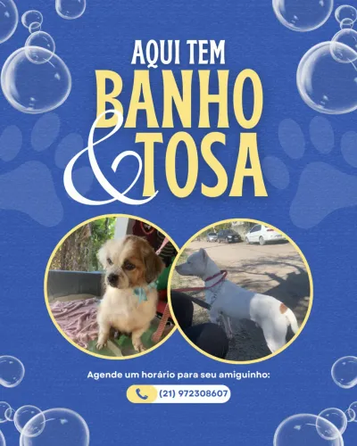 Banho e tosa/ seu amigo precisa de um banho? A thay da um jeito?