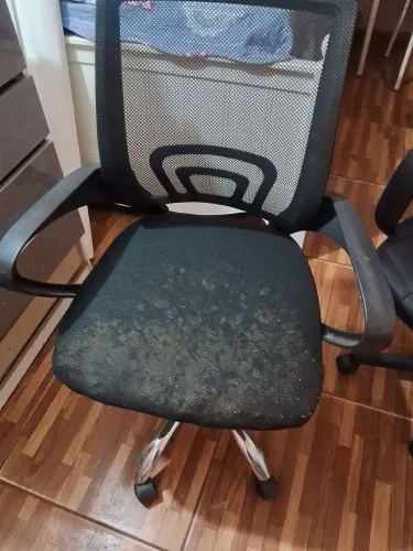 Cadeira escrito lrio
