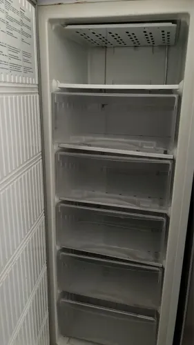 Freezer Electrolux