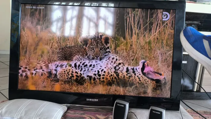 Tv Samsung 40 polegadas