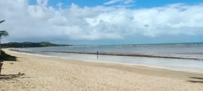 ÁREAS DISPONIVEIS PARA VENDA PARA GRUPO DE INVESTIDORES. ALAGOAS.