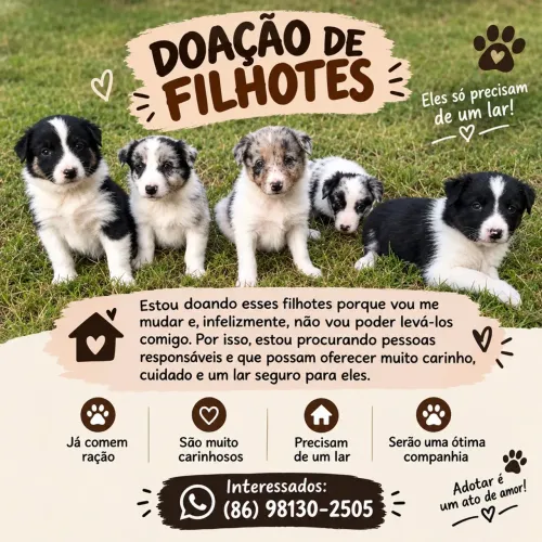 Doação
