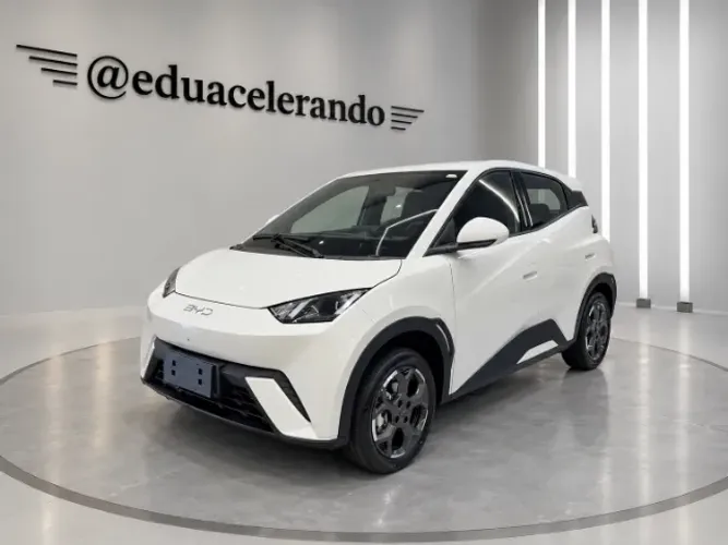 BYD Dolphin Mini (Elétrico) 2027