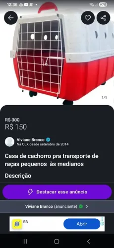 Casinha Cachorro