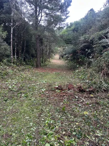 Terreno de barbada na serra gaúcha.. aceito carro