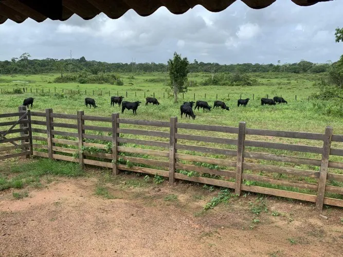 1549 alqueries no Pará por 42.608 reais o alqueire 90 % aberta em pasto