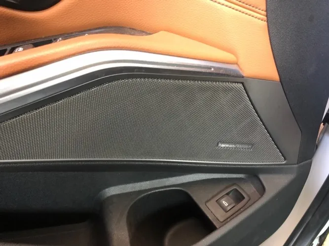 Alto falante  Bmw 320i M 2022 