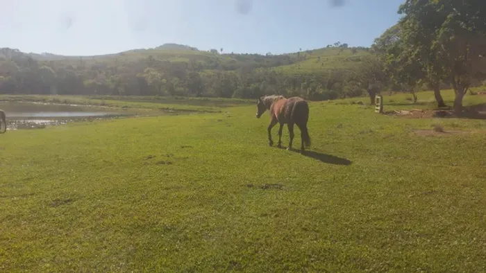 Fazenda de Pecuaria 289 alqueires